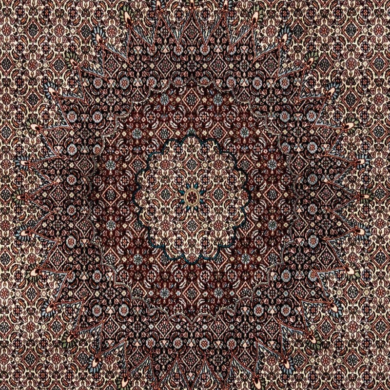 モウド 絨毯 333x248cm - ペルシャ絨毯