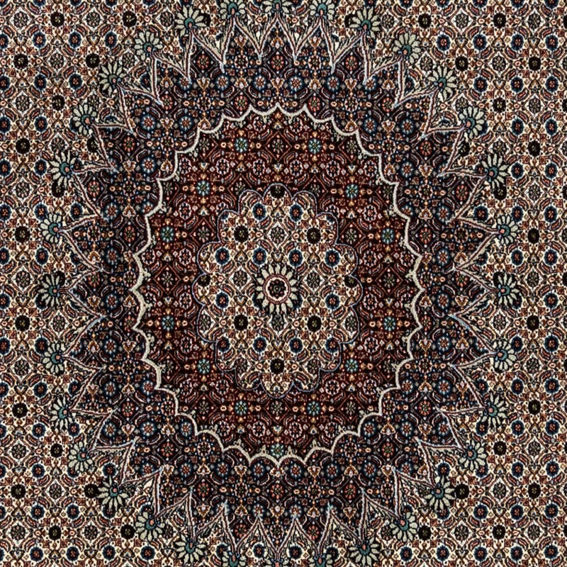 モウド 絨毯 342x243cm - ペルシャ絨毯