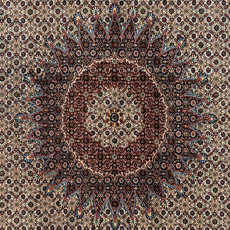モウド 絨毯 353x244cm - ペルシャ絨毯