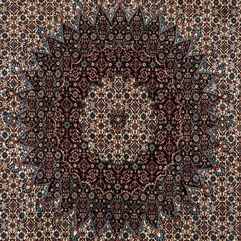モウド 絨毯 343x248cm - ペルシャ絨毯