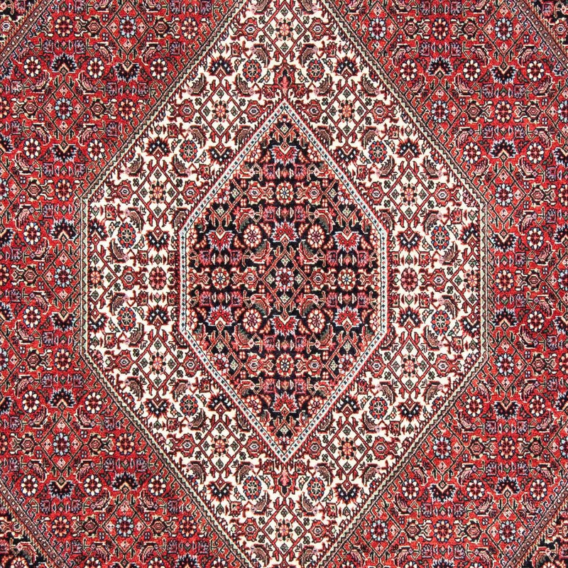 ビジャー 絨毯 241x172cm - ペルシャ絨毯