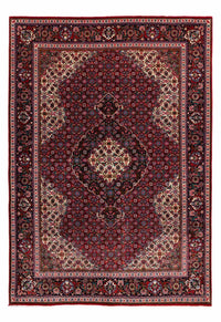 サルーク 絨毯 309x213cm - ペルシャ絨毯 – product image