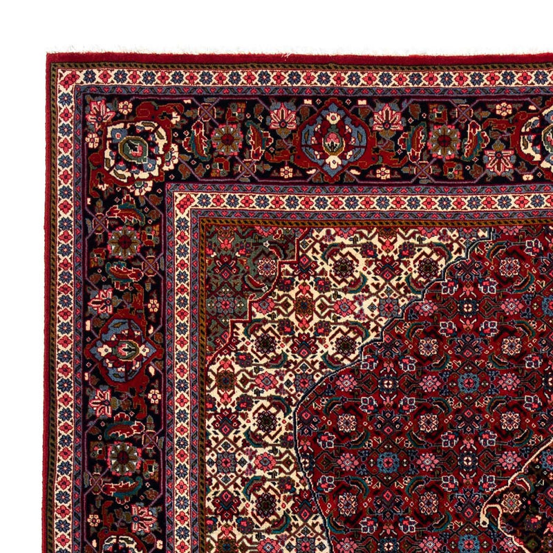 サルーク 絨毯 309x213cm - ペルシャ絨毯