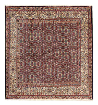モウド 絨毯 252x252cm - ペルシャ絨毯