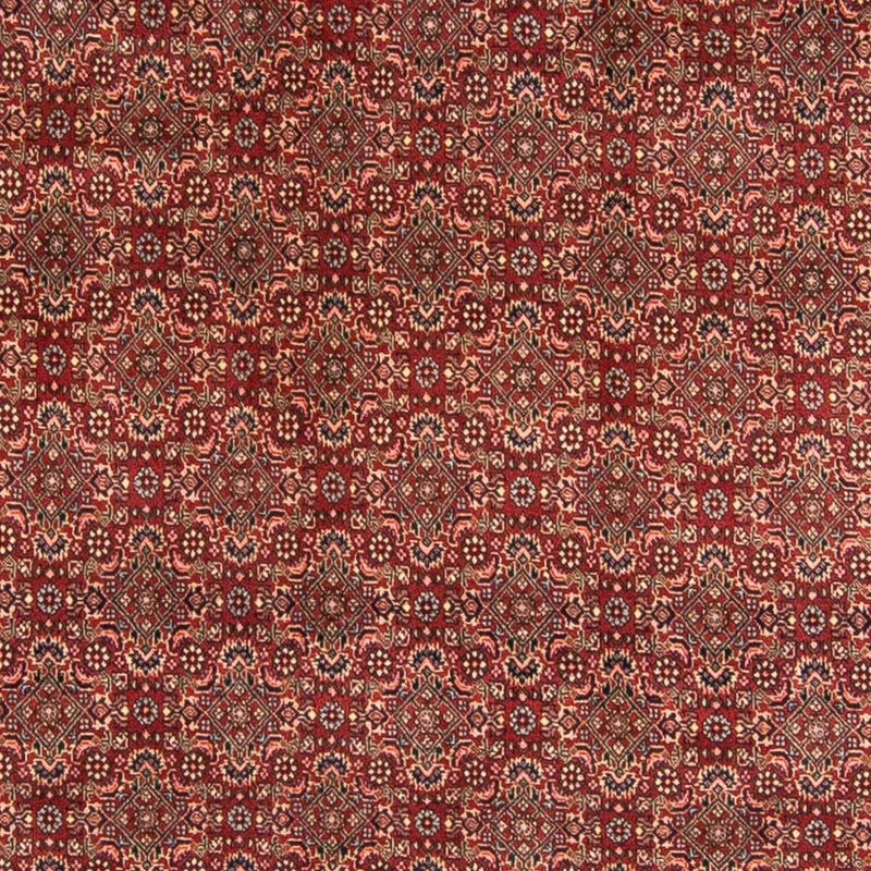 ビジャー 絨毯 298x200cm - ペルシャ絨毯