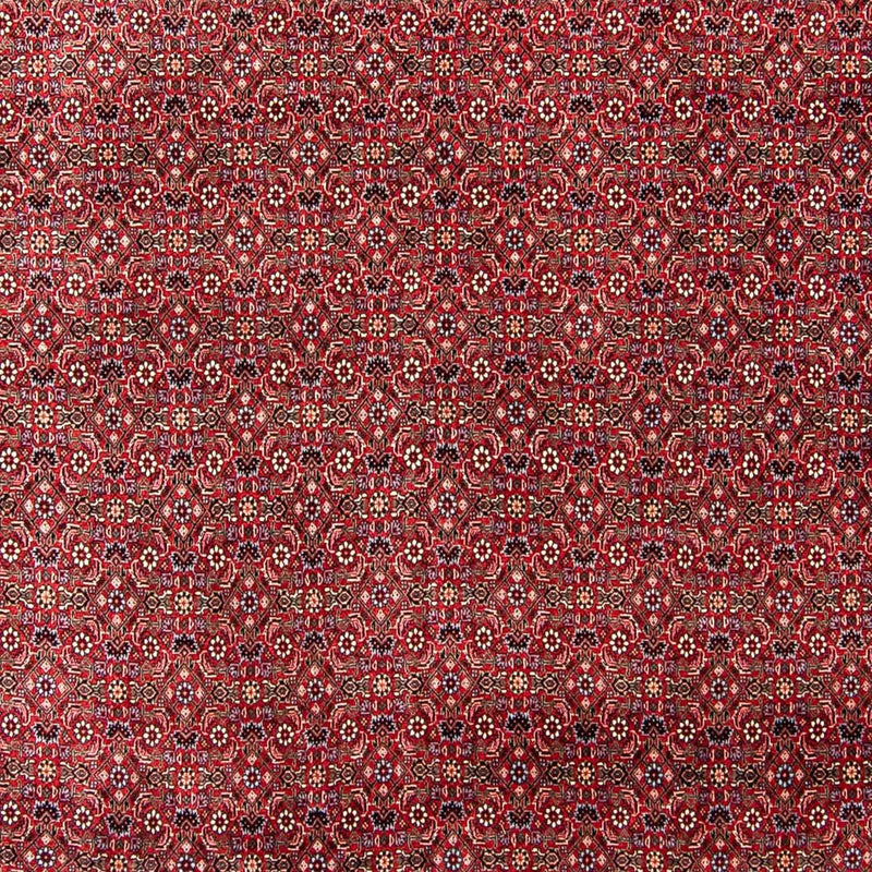 ビジャー 絨毯 300x253cm - ペルシャ絨毯