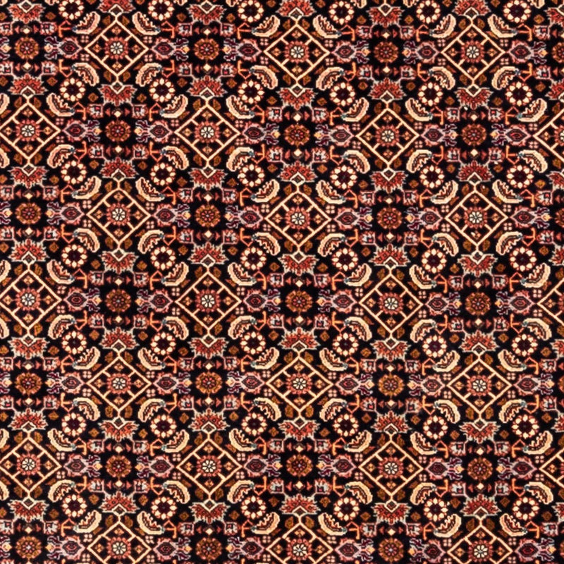 ビジャー - タカブ 絨毯 298x202cm - ペルシャ絨毯