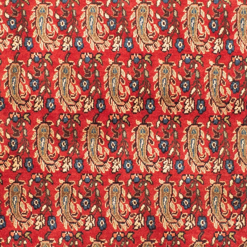 シーラーズ 絨毯 160x110cm - ペルシャ絨毯