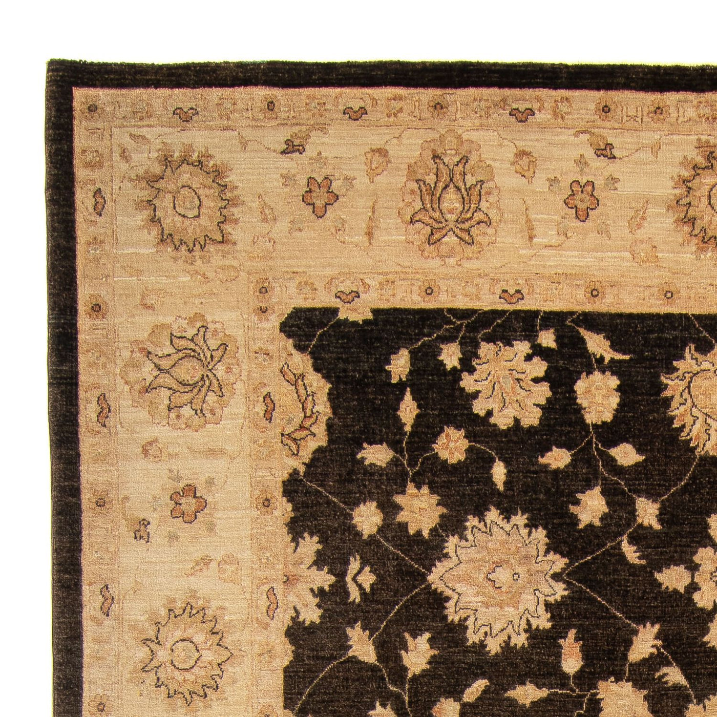ツィーグラー絨毯 349x248cm - オリエンタル絨毯