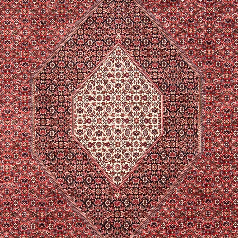ビジャー 絨毯 310x250cm - ペルシャ絨毯