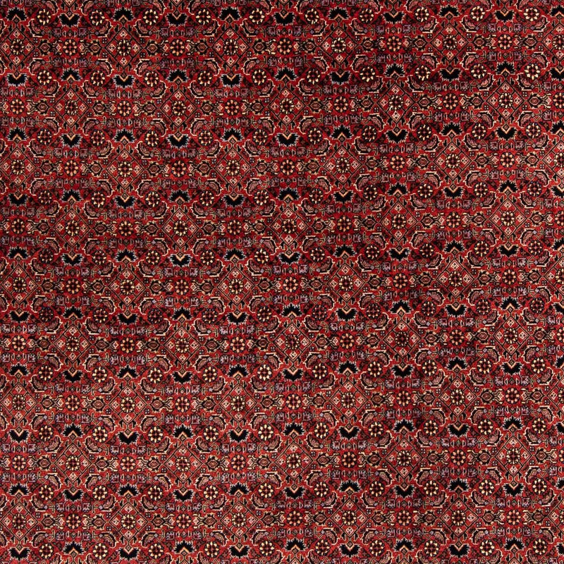 ビジャー 絨毯 200x197cm - ペルシャ絨毯