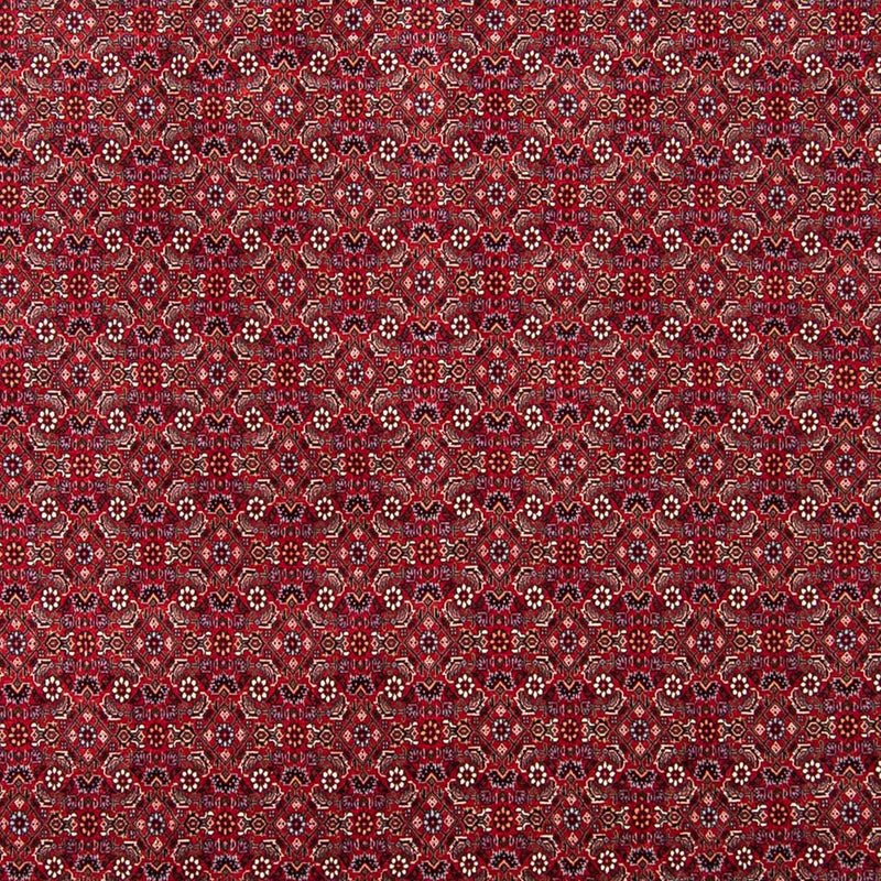 ビジャー 絨毯 297x247cm - ペルシャ絨毯