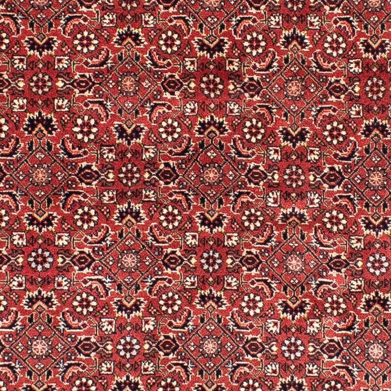 ビジャー 絨毯 208x200cm - ペルシャ絨毯