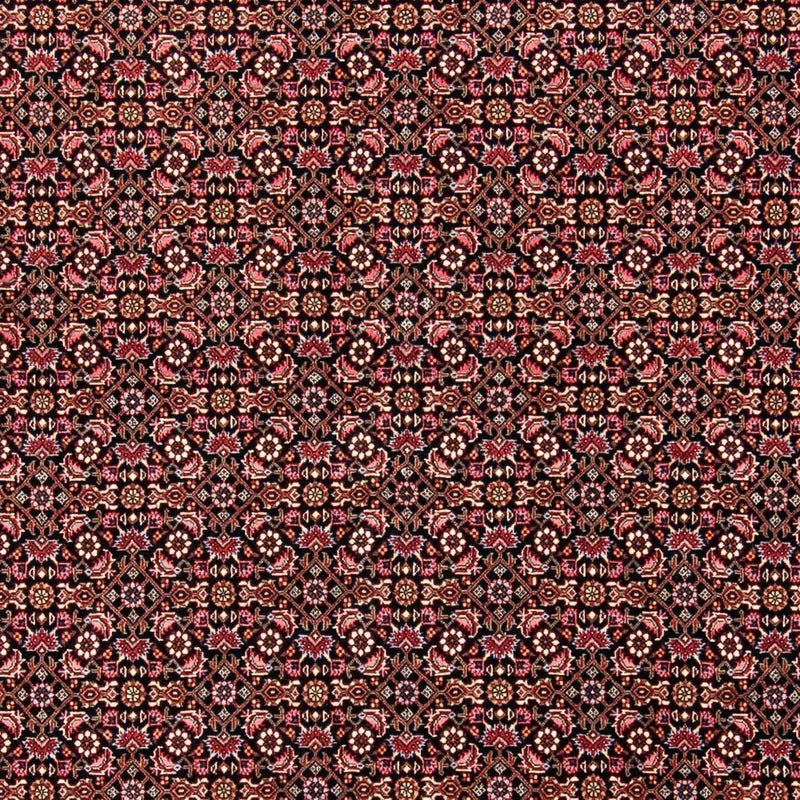 ビジャー 絨毯 245x176cm - ペルシャ絨毯