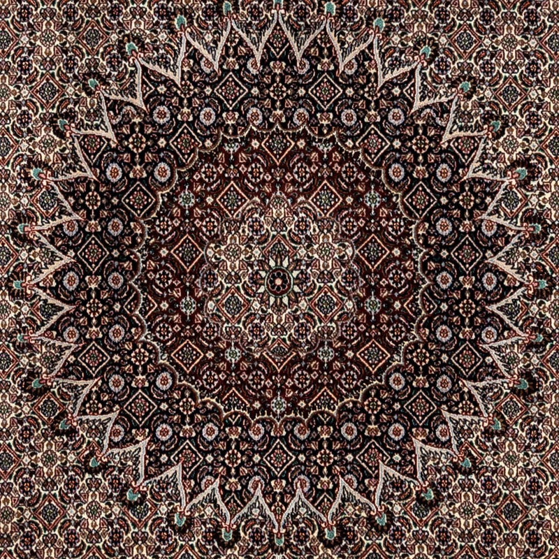 モウド 絨毯 345x253cm - ペルシャ絨毯
