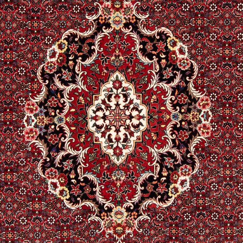 ビジャー 絨毯 229x172cm - ペルシャ絨毯