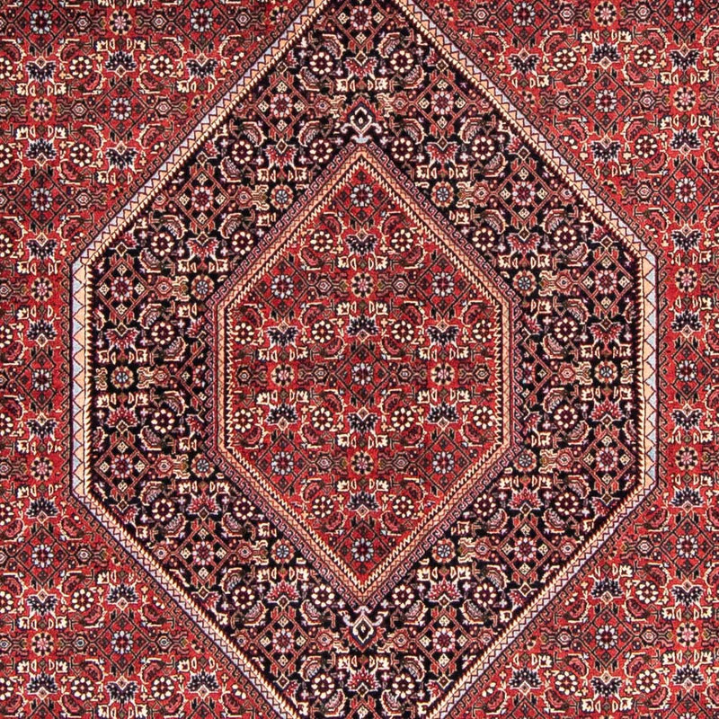 ビジャー 絨毯 238x169cm - ペルシャ絨毯