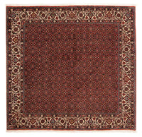 ビジャー 絨毯 203x197cm - ペルシャ絨毯 – product image