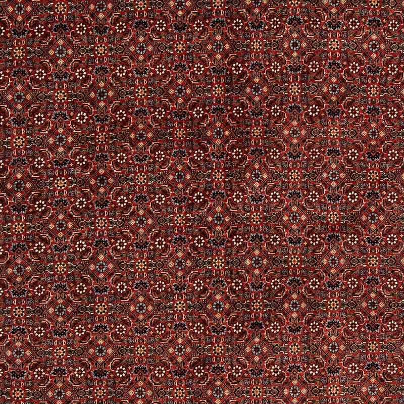 ビジャー 絨毯 203x197cm - ペルシャ絨毯