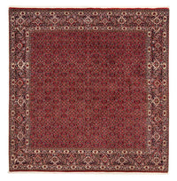 ビジャー 絨毯 205x205cm - ペルシャ絨毯 – product image