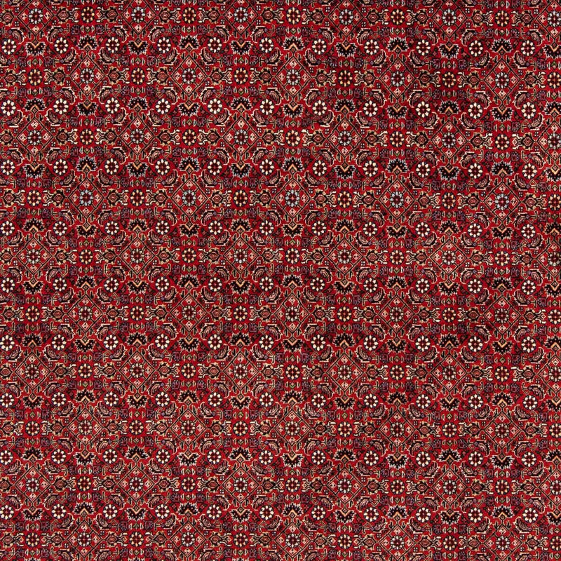 ビジャー 絨毯 205x205cm - ペルシャ絨毯