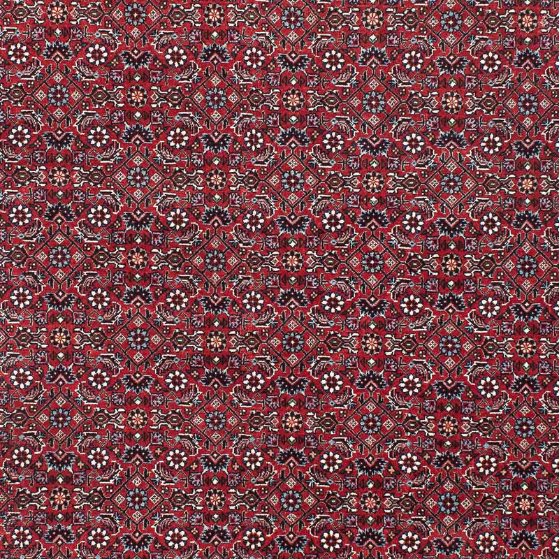 ビジャー 絨毯 209x132cm - ペルシャ絨毯