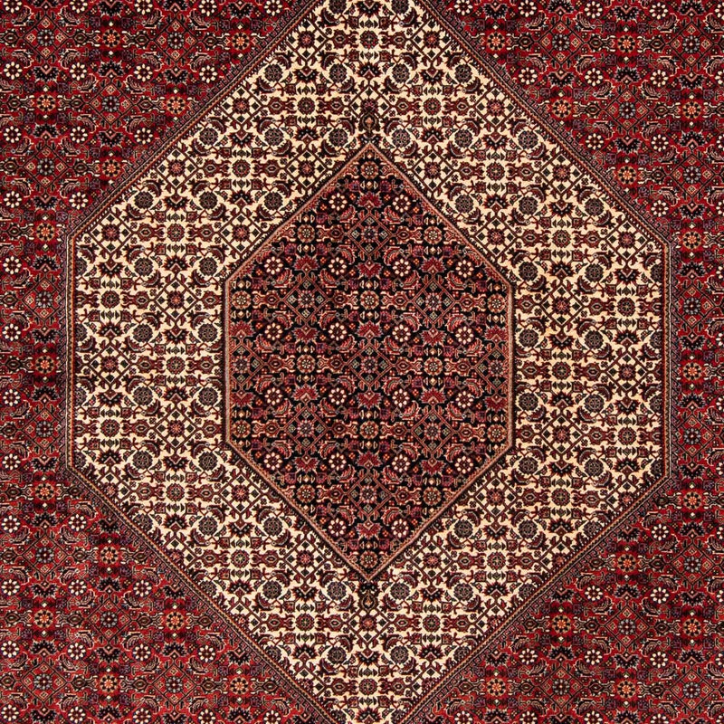 ビジャー 絨毯 261x206cm - ペルシャ絨毯