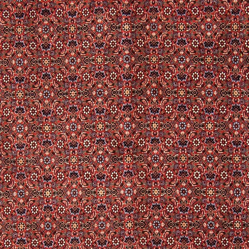 ビジャー 絨毯 308x254cm - ペルシャ絨毯