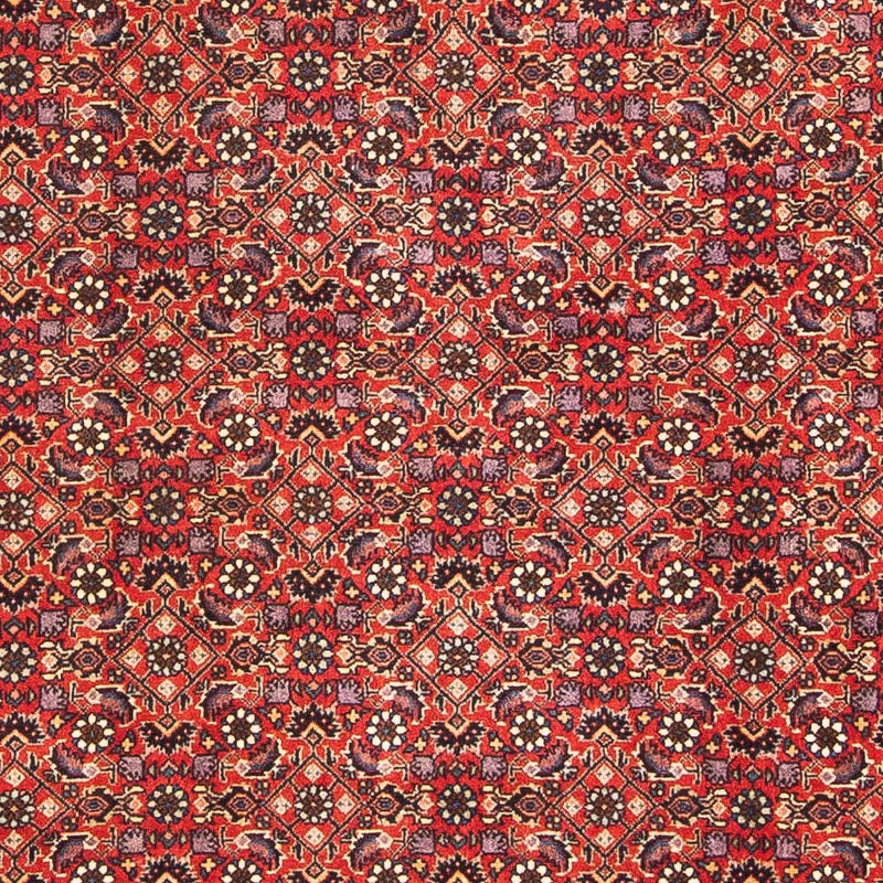 ビジャー 絨毯 183x114cm - ペルシャ絨毯