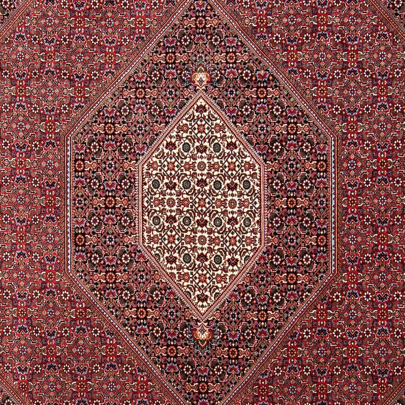 ビジャー 絨毯 298x258cm - ペルシャ絨毯