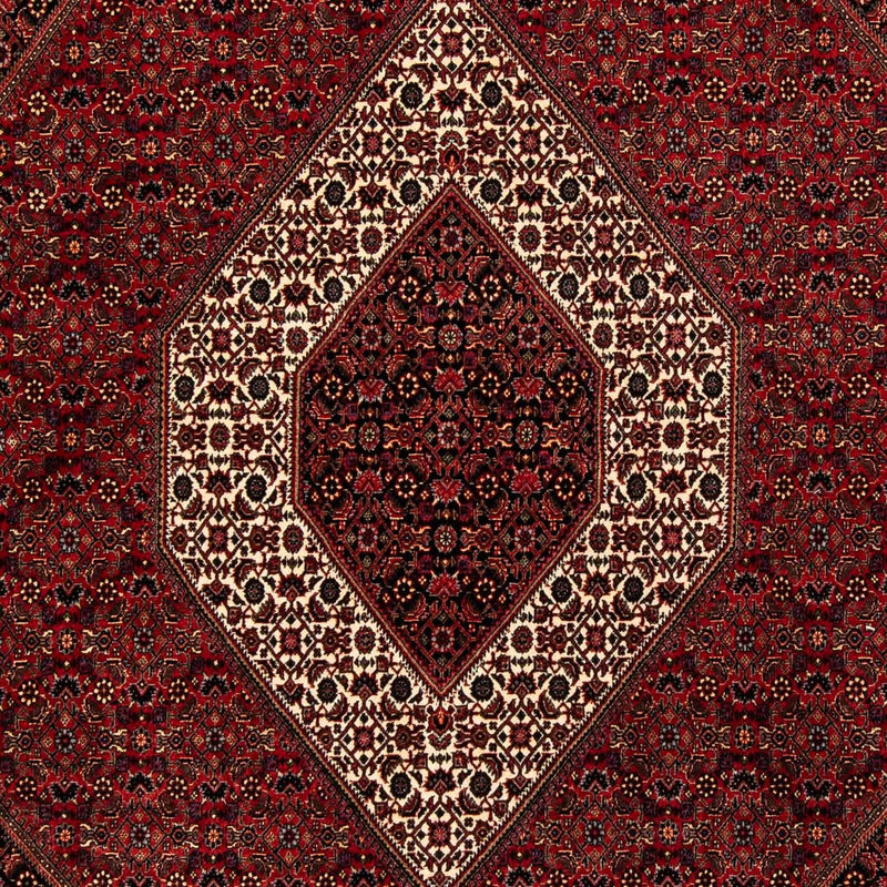ビジャー 絨毯 250x200cm - ペルシャ絨毯