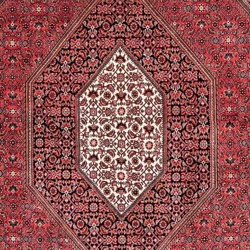 ビジャー 絨毯 245x170cm - ペルシャ絨毯