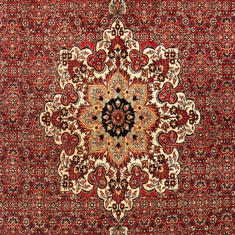 ビジャー 絨毯 232x170cm - ペルシャ絨毯