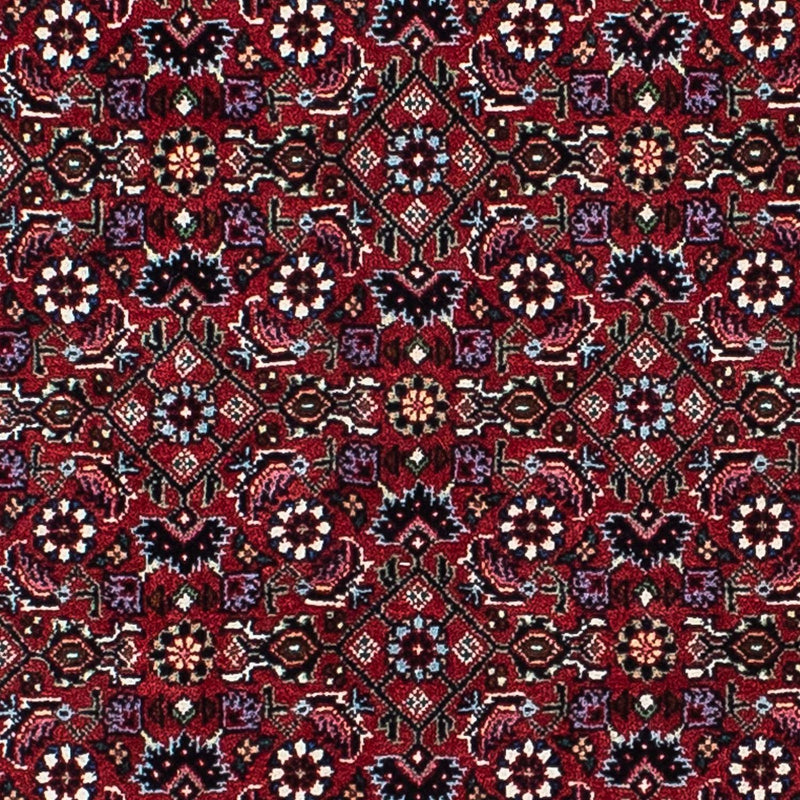 ビジャー 絨毯 214x133cm - ペルシャ絨毯