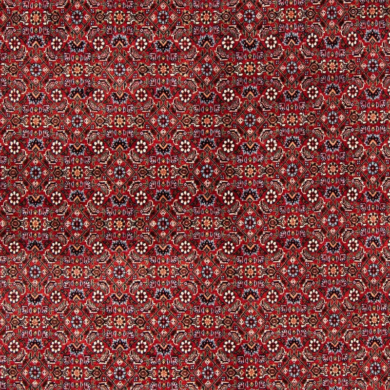 ビジャー 絨毯 231x170cm - ペルシャ絨毯