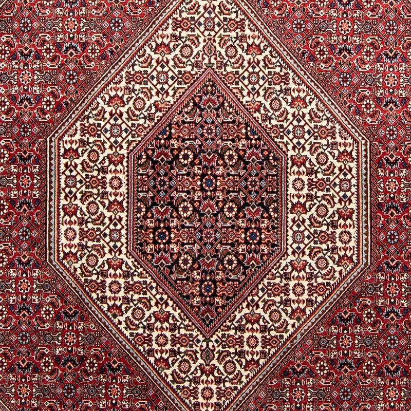 ビジャー 絨毯 232x170cm - ペルシャ絨毯
