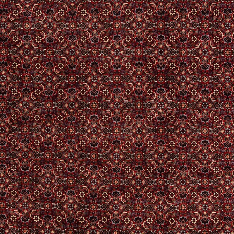 ビジャー 絨毯 254x198cm - ペルシャ絨毯