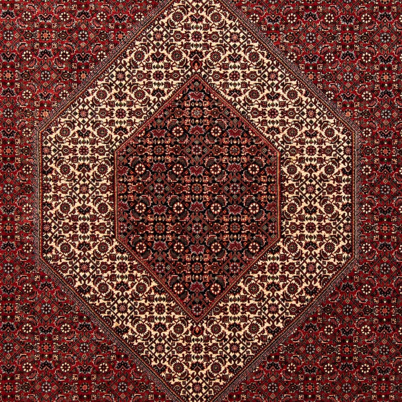 ビジャー 絨毯 253x202cm - ペルシャ絨毯