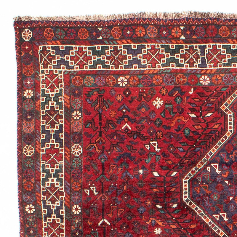 シーラーズ 絨毯 300x208cm - ペルシャ絨毯