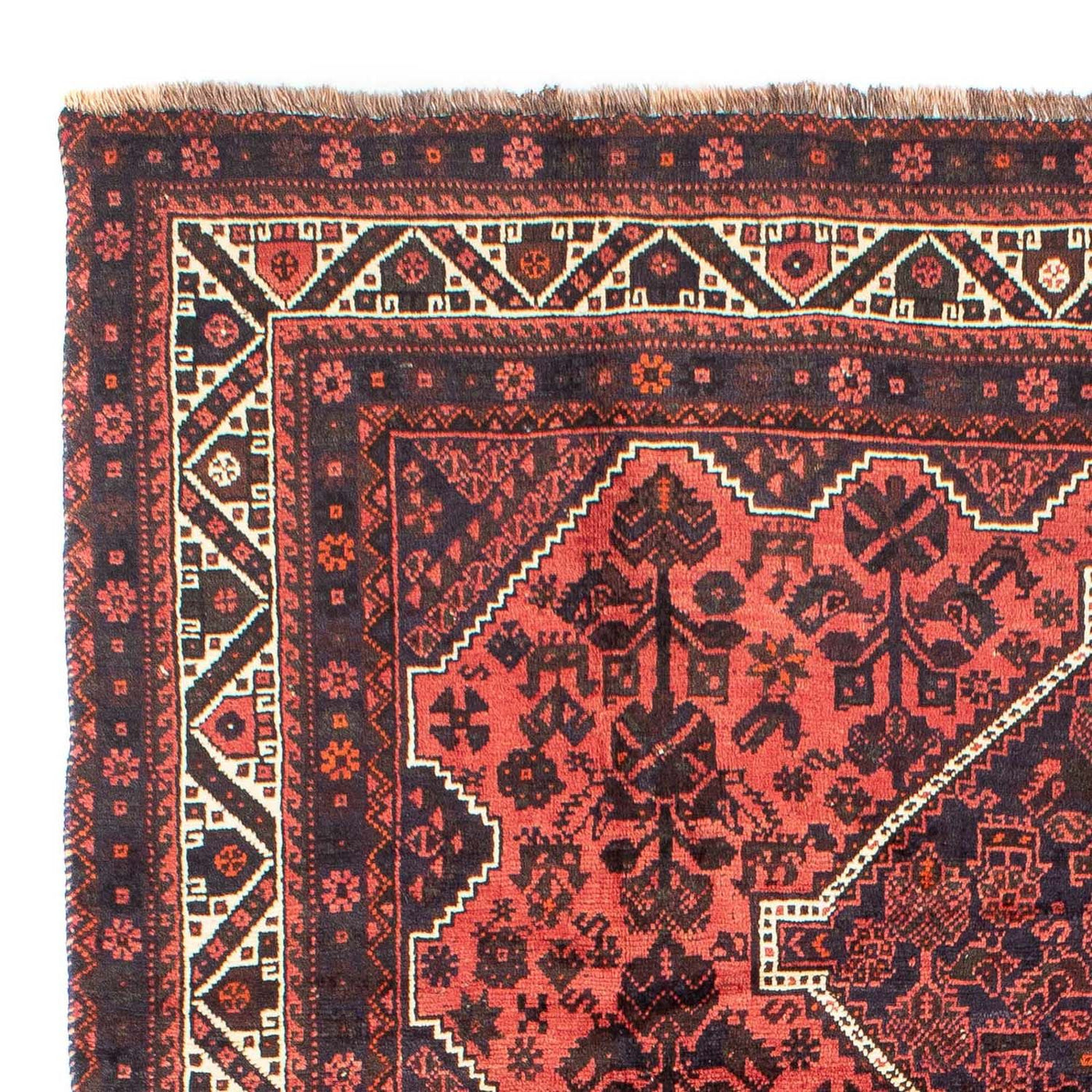 シーラーズ 絨毯 300x207cm - ペルシャ絨毯