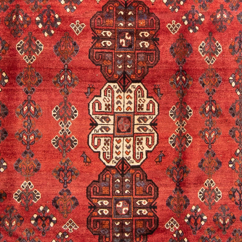 シーラーズ 絨毯 323x235cm - ペルシャ絨毯