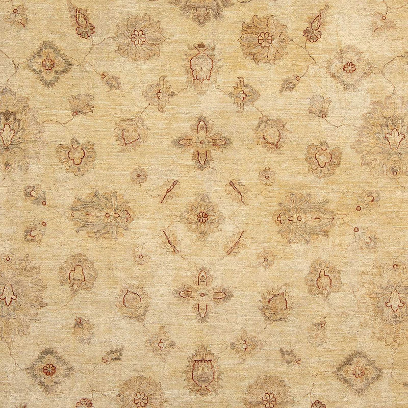 ツィーグラー絨毯 303x246cm - オリエンタル絨毯