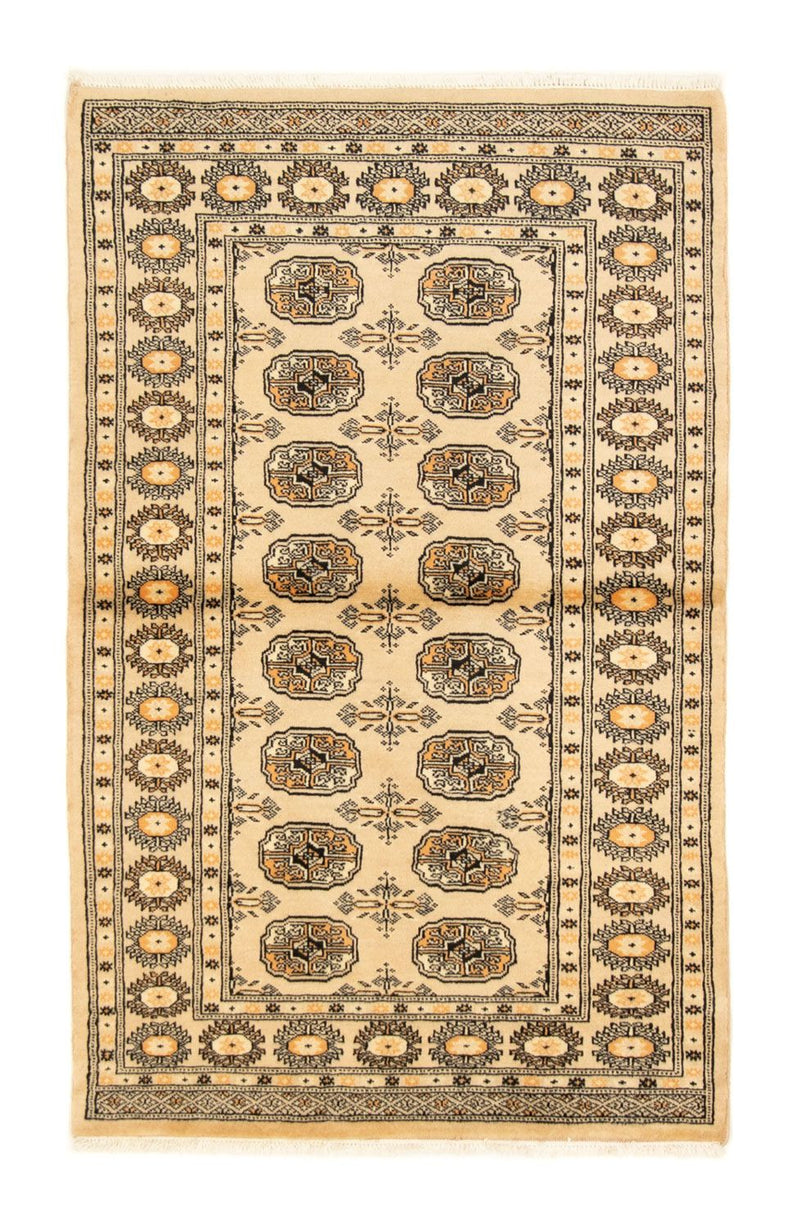 ツィーグラー絨毯 151x96cm - オリエンタル絨毯