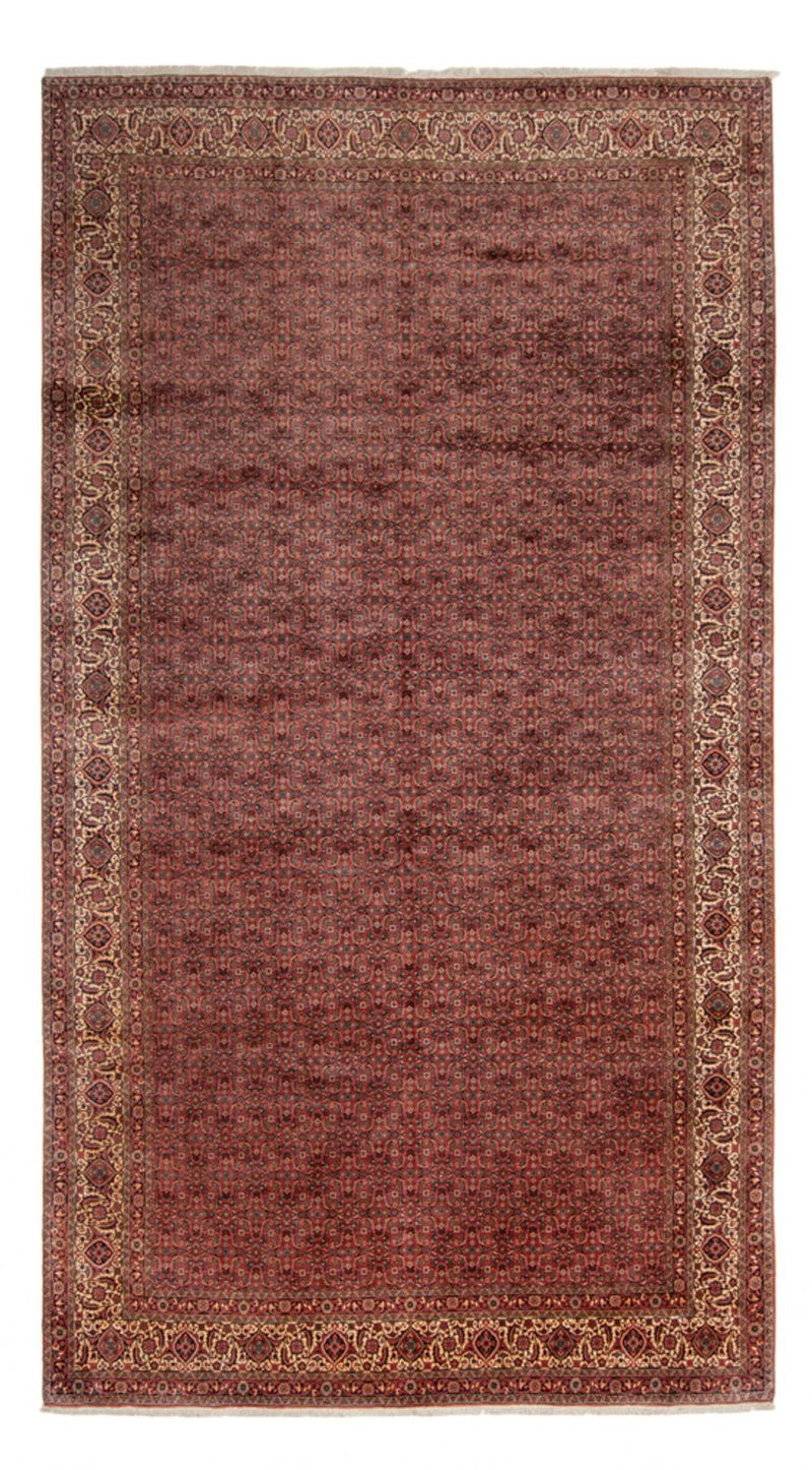 ビジャー - タカブ 絨毯 482x256cm - ペルシャ絨毯