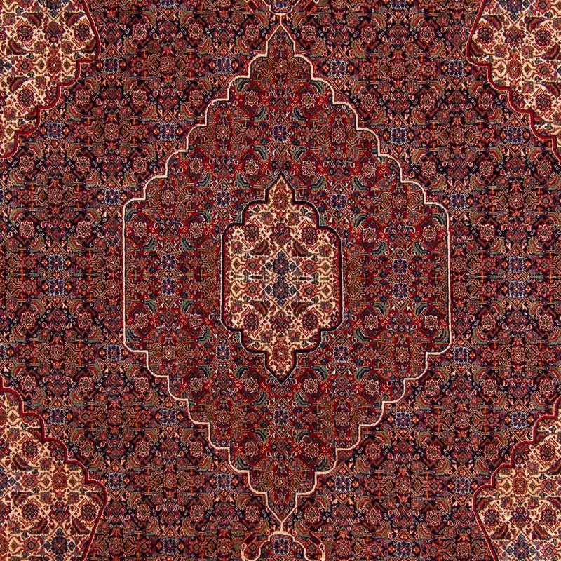 ナイン 絨毯 335x263cm - ペルシャ絨毯