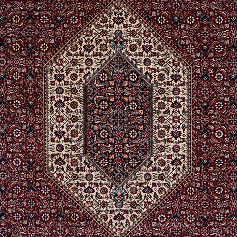 ビジャー - タカブ 絨毯 303x249cm - ペルシャ絨毯