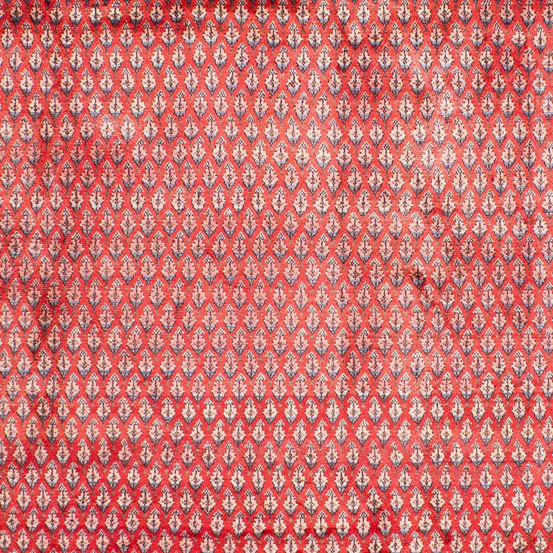 ミール 絨毯 317x219cm - ペルシャ絨毯