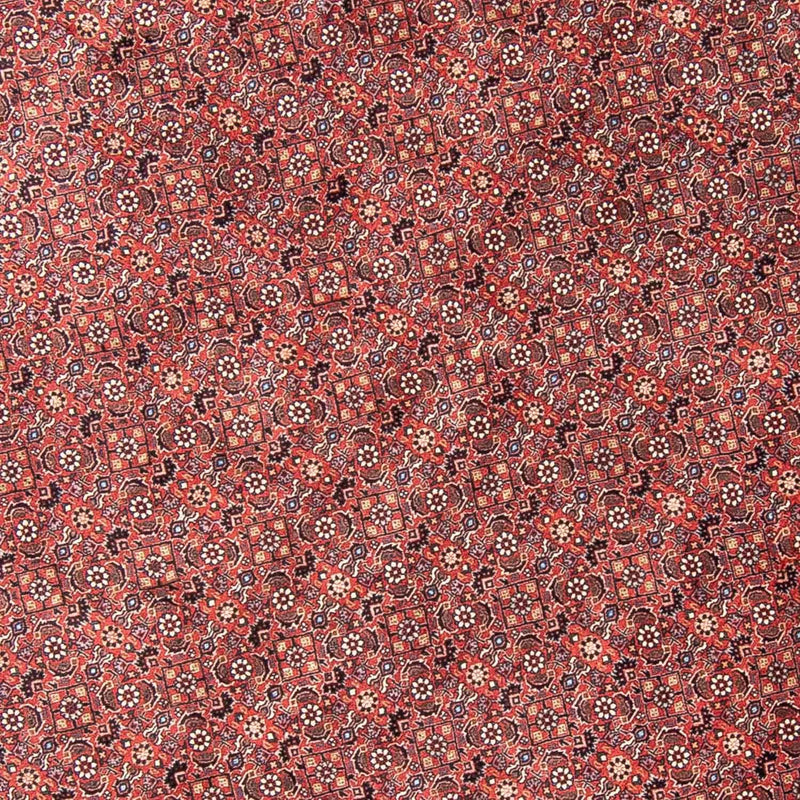 ビジャー 絨毯 300x300cm - ペルシャ絨毯