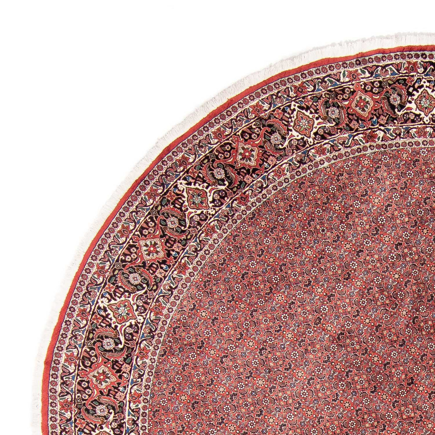 ビジャー 絨毯 300x300cm - ペルシャ絨毯