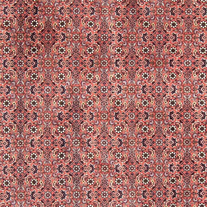 ビジャー 絨毯 300x300cm - ペルシャ絨毯
